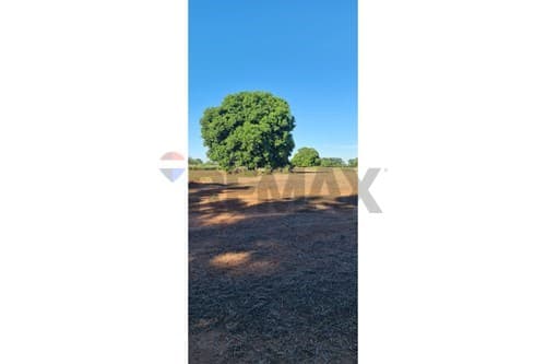 Terreno 14ha en Itacurubí: ¡Oportunidad Única! — foto 4