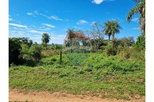Hermoso Terreno en Limpio — foto 2