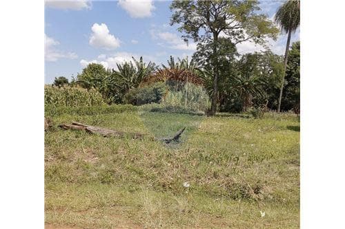 Terreno a metros de la Playa San Juan del Paraná — foto 3