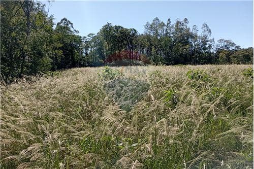 Bello, tranquilo y amplio TERRENO - VENTA — foto 5