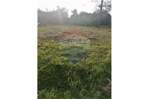 Terreno a metros de la Playa San Juan del Paraná — foto 5