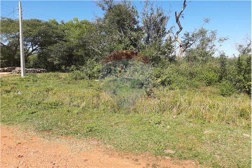 Vendo terreno zona Luque aregua