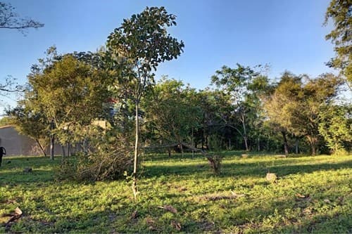 En venta terreno en la ciudad de nueva colombia, foto 3