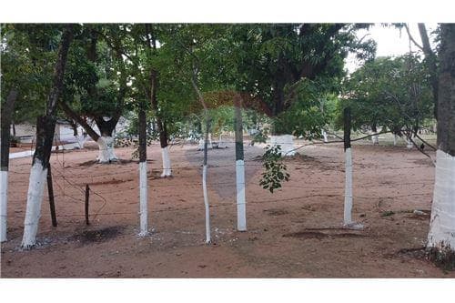 Amplio terreno en Mariano Roque Alonso, foto 2