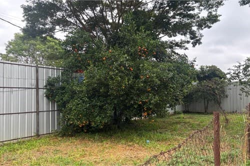 TINGLADO EN Capiatá — Barrio Capsa (Central), foto 4