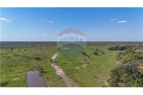 Estancia 1040 hectareas en arroyos y esteros — foto 2