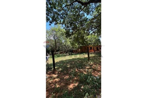 Terreno - isla bogado Luque, foto 2
