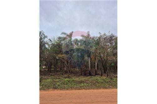Terreno en Ypacarai — foto 2