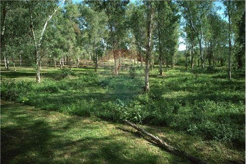 Terreno en sanber a 260,000 X m2 — foto 5