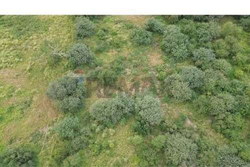 Terreno comercial en venta — foto 2