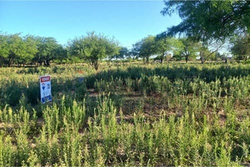 Terreno en Terreno Residencial, Loma Plata, foto 3