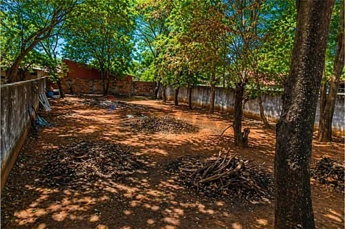 Terrenoen Luque laurelty — foto 3