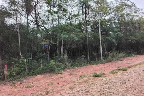 Terreno 6,3 Ha en Nueva Colombia — foto 3