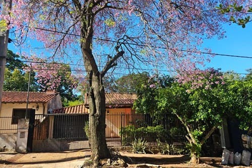 Casa soñada en san vicente | 420m²