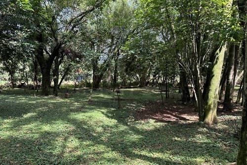 "Serene 3BR Country Home with Pool in Itauguá" — foto 4