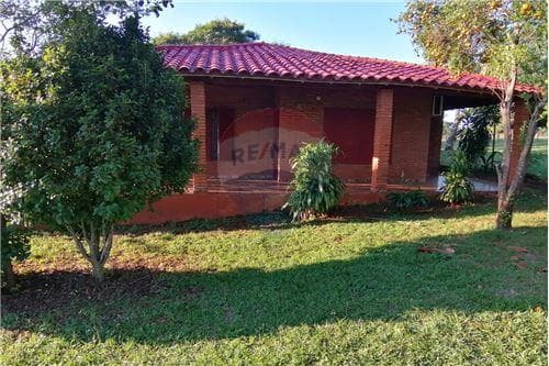 Casa quinta con árboles frutales y amplio patio — foto 5