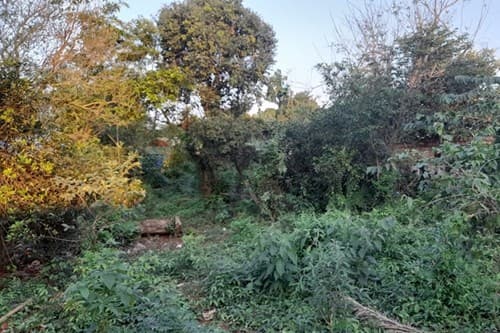 Terreno en j,. Augusto saldivar — foto 2