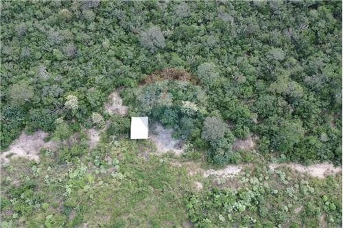 3.974 hectáreas de monte en bahía negra — foto 2