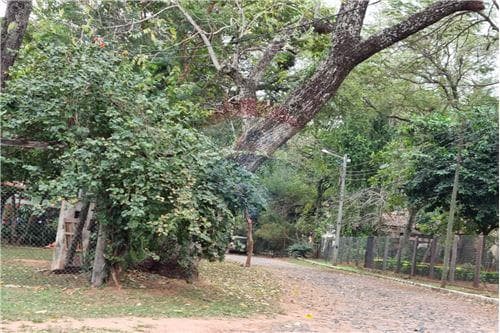 de Gran Terreno en Urbanización Surubi'i, foto 4