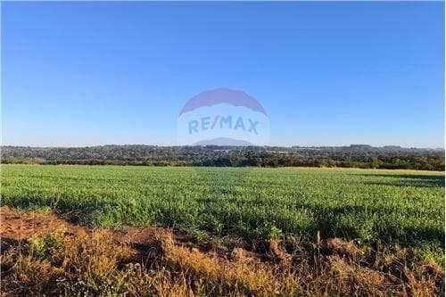 Terreno en Venta – San Juan del Paraná