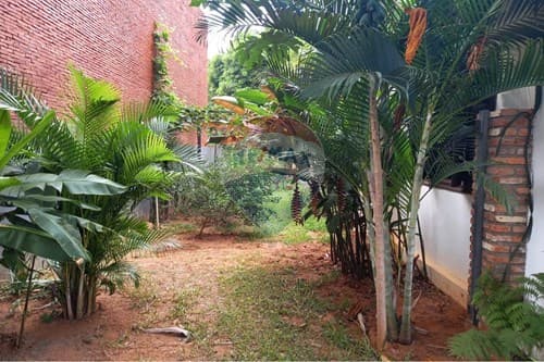 Importante terreno en venta en Asunción – sobre avda. Venezuela — foto 5