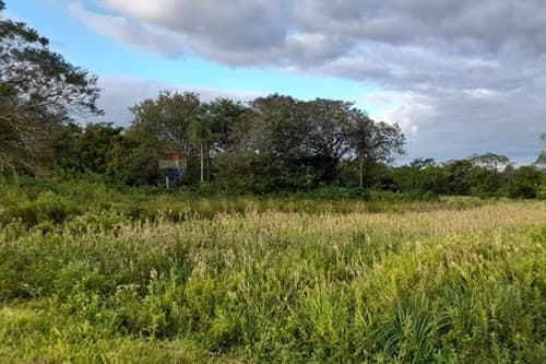 Terreno en yaguaron ruta 1 km61 — foto 5