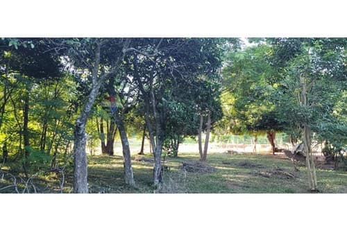 Terreno en TERRENO PARAGUARI, Paraguarí, foto 2