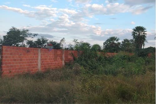 Terreno tarumandy Luque — foto 2
