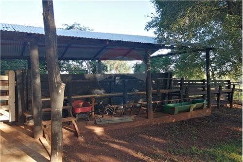Propiedad agricola ganadera de 23.5 hectáreas — foto 3