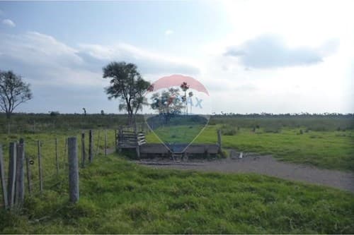 Estancia de 493 hectareas en pte hayes — foto 5