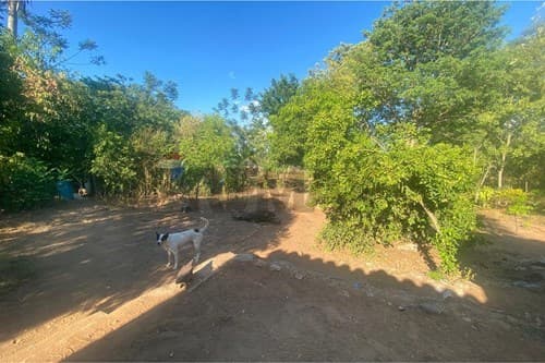 Terreno de 2.470 en Ypacarai Pedrozo, foto 3