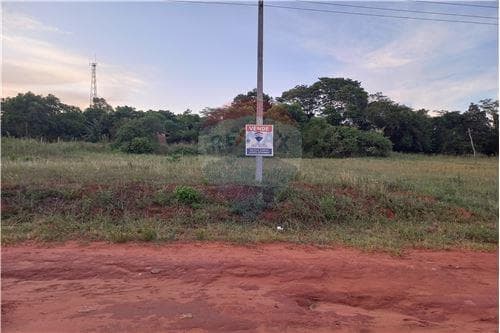 📍 ¡Terreno en Ypané a Precio de Oportunidad! 🏡 — foto 4
