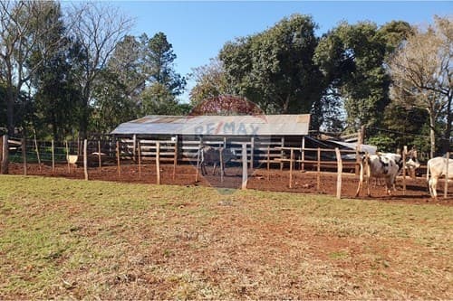 - terreno-hernandarias-paraguay — foto 4