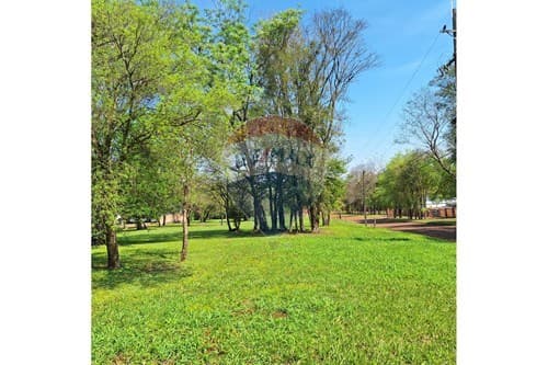 Terreno Exclusivo en Hohenau: Tu Futuro Hogar