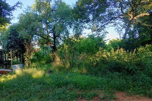 Vendo terreno en Luque - isla bogado