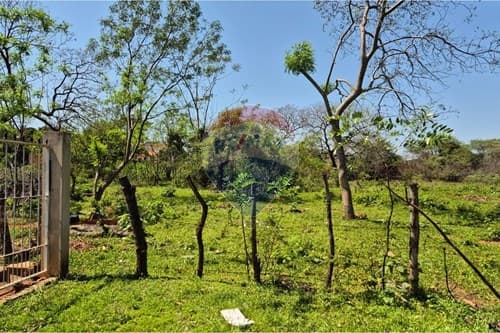 Amplio terreno 3.492 m² en Luque — foto 3