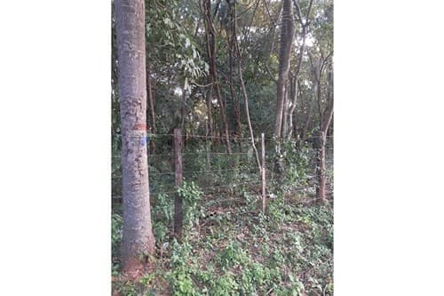 Terreno en Mariano Roque Alonso, foto 4