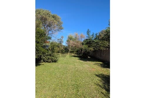 Hermoso terreno ideal para quinta o inversion, foto 5