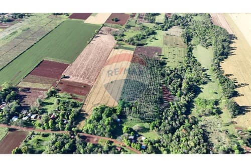 Inversión Ideal: Estancia en Edelira, Itapúa — foto 3