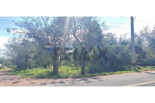 Aregua 3 terrenos en venta, foto 4