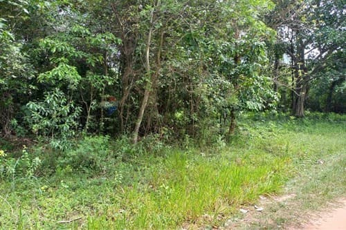 Terreno en venta - piribebuy — foto 3