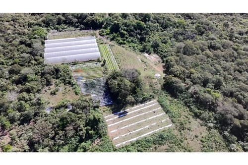 13 ha en nva colombia — foto 3