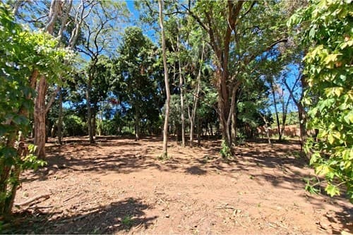 Terreno ideal en Villa Real, San Bernardino, foto 4