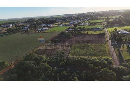 Terreno amplio en naranjal — foto 4