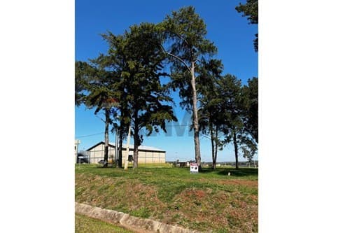 Terreno Comercial en Venta — foto 5