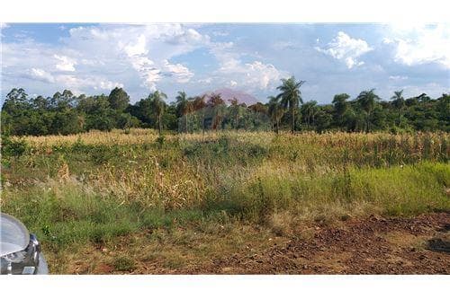 Hermoso terreno en San Juan del Paraná