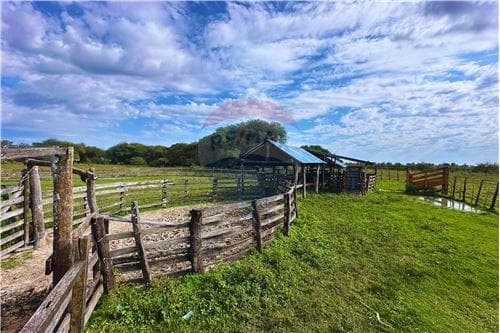 Campo en venta en Villa Franca — foto 2