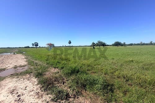 4 terrenos juntos o separado en Jose Falcon — foto 4