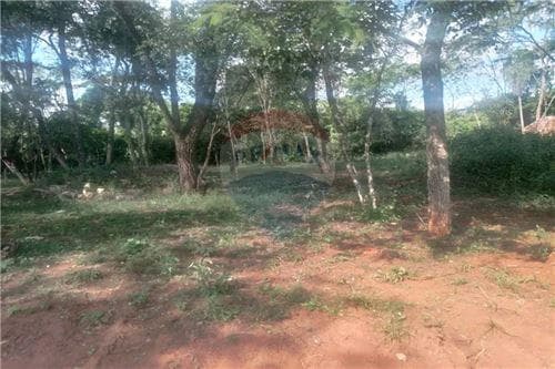terreno a 10 cuadras de la av. Luque sanber, foto 2