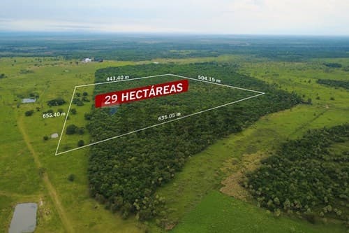 29 ha a 10 min del Centro de Villa Hayes — foto 5